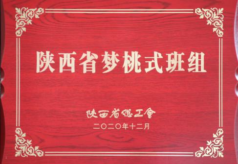2020年國的陜西總工會(huì)夢桃式班組